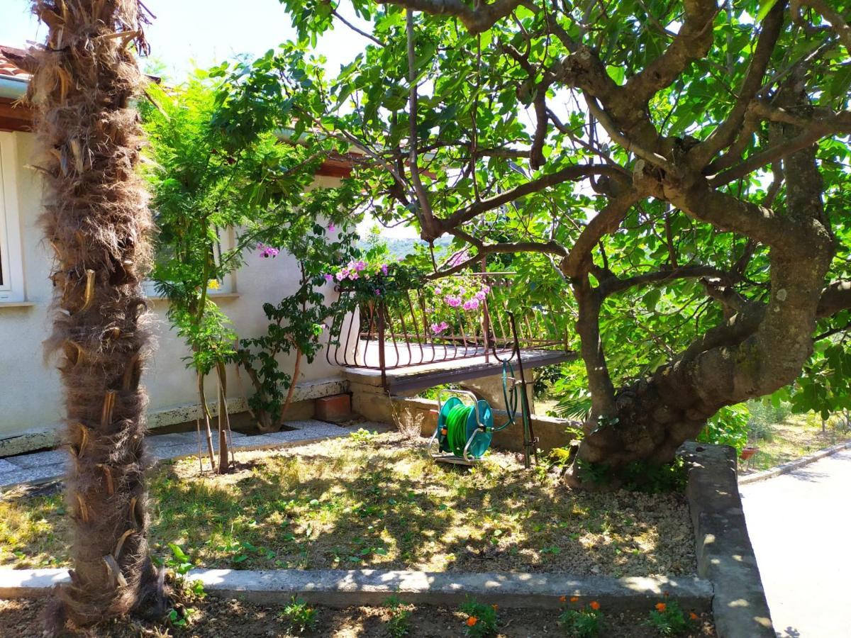 Lili House Apartment Portoroz Exterior photo